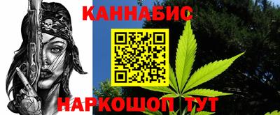 прущие грибы Усть-Джегута