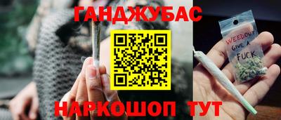 прущие грибы Усть-Джегута